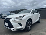 NX 300h スパイス&シック