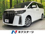 両側電動ドア 純正9型ナビ バックカメラ 衝突軽減 レーダークルーズ