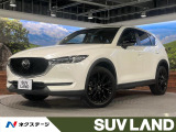 メーカー10型ディスプレイ 全周囲カメラ 衝突軽減 レーダークルーズ