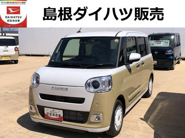 ムーヴキャンバス  ストライプス G