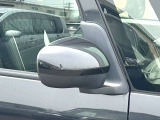 運転席ドアミラー周辺の写真です。