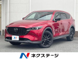 純正10型ナビ 全周囲カメラ 禁煙車 衝突被害軽減システム