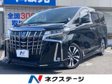 セーフティーセンス レーダークルーズ 電動リアゲート レザーシート