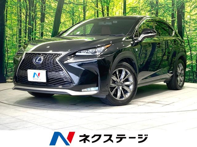 NX 300h Fスポーツ