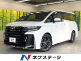 ガラスルーフ 純正14型ナビ 両側電動ドア 後席モニター 全周囲カメラ