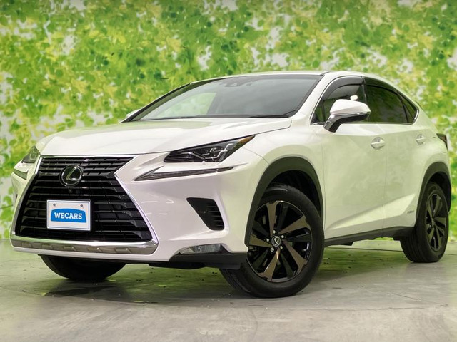 NX 300h バージョンL 