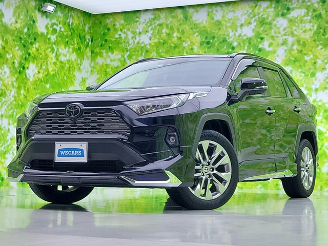 RAV4 2.0 G Zパッケージ 4WD