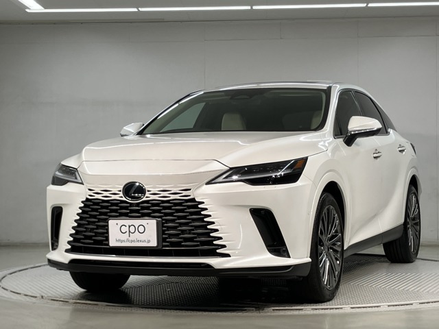 RX 350 バージョンL 