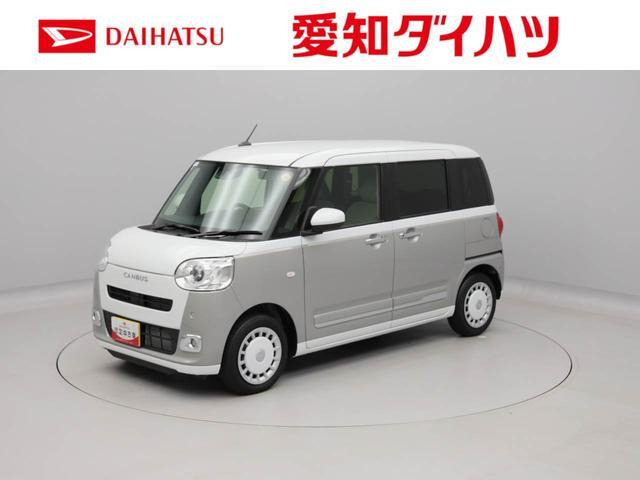 ムーヴキャンバス  ストライプス G