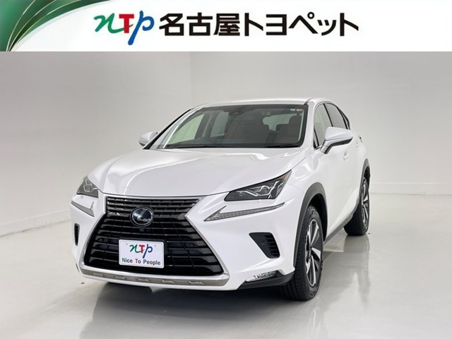 NX 300 Iパッケージ 