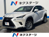 沖縄県内での販売・登録が条件※宮古島除く