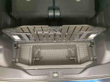 WEB掲載時にはお車に付いている装備と、様々な写真をたくさん載せるように心がけております。1台1台特徴をとらえたキャッチコメントを掲載しています。