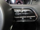 前車追従機能付きのレーダークルーズを備えています。自動で車間距離を調整してくれますので、アクセル操作の疲労軽減に繋がります。特に長距離を帰省される方にはお奨めですよ。