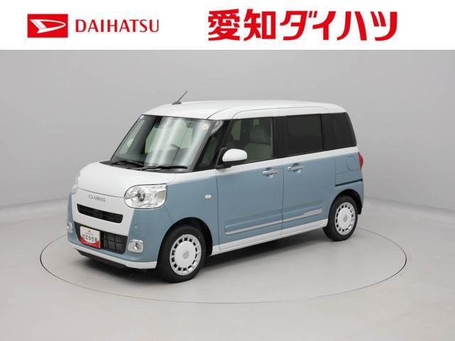 ムーヴキャンバス  ストライプス G