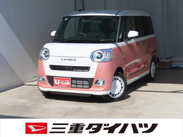 ムーヴキャンバス  ストライプス G