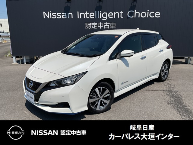 リーフ e+ X 