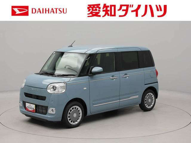 ムーヴキャンバス  セオリー G