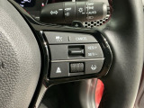 クルーズコントロールを装備しています。高速道路などで一定の速度で走ってくれるので運転が楽ですよ!速度を設定できますので、スピードの出しすぎにも注意できます。