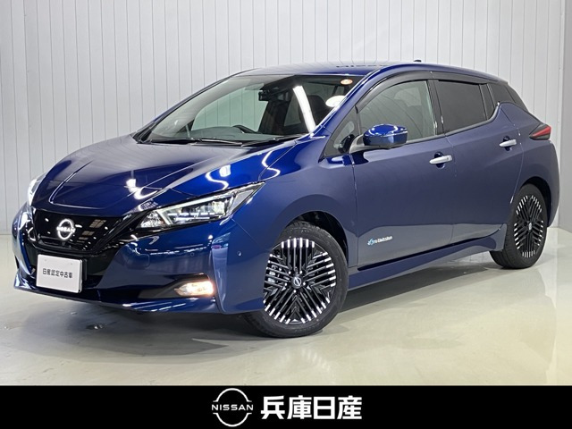 リーフ G 