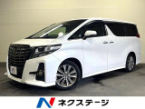 両側電動ドア SDナビ 後席モニター バックカメラ 衝突被害軽減システム