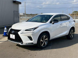 NX 300h スパイス&シック