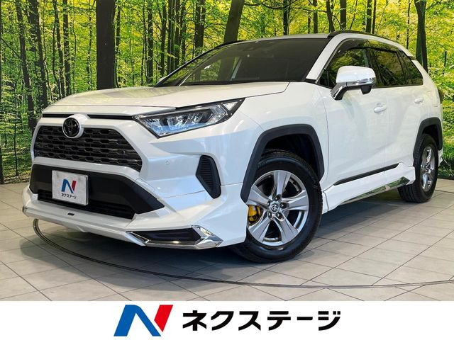 RAV4 2.0 X 