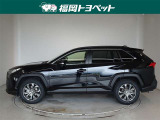 RAV4 2.0 X 
