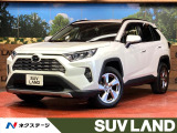 レーダークルーズ 禁煙車 電動リアゲート レザー調シート パワーシート