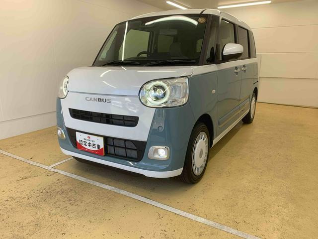 ムーヴキャンバス  ストライプス G