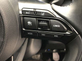 高速道路での長距離走行が楽になります。自動で速度を保つクルーズコントロールが、衝突軽減システムと連動し、前方の車両を検知して車間距離を保つように速度調整をしてくれます。