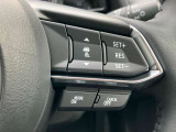 全車速域の追従型クルーズコントロールを搭載。