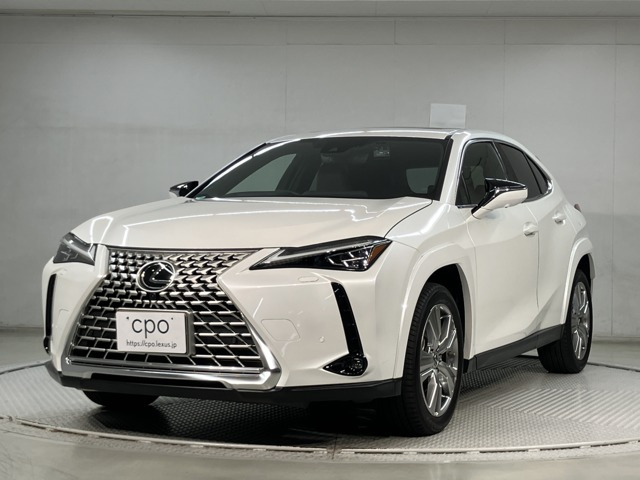 UX 250h グレイスフル エクスプローラー 