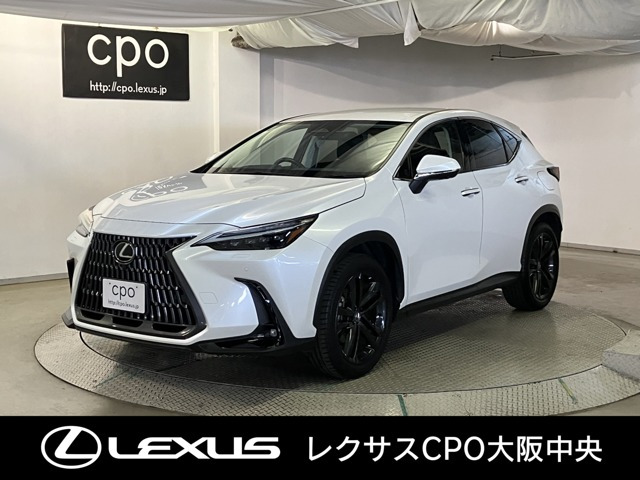 NX 250 バージョンL NX 250 バージョンL