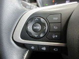 ステアリングスイッチは前方から目を離すことなく操作することが可能。わき見運転の防止に。