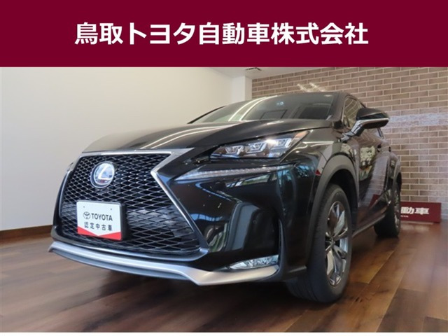 NX 300h Fスポーツ 