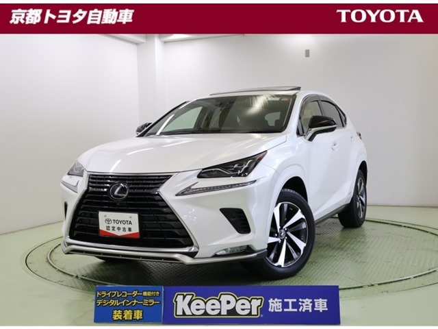 NX 300h スパイス&シック