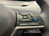 プロパイロット搭載車両です。追従のクルーズコントロールにハンドル支援で長距離運転も疲れません!