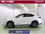 NX 300h スパイス&シック