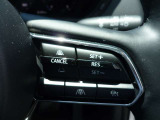 全車速追従機能ACCついてます!