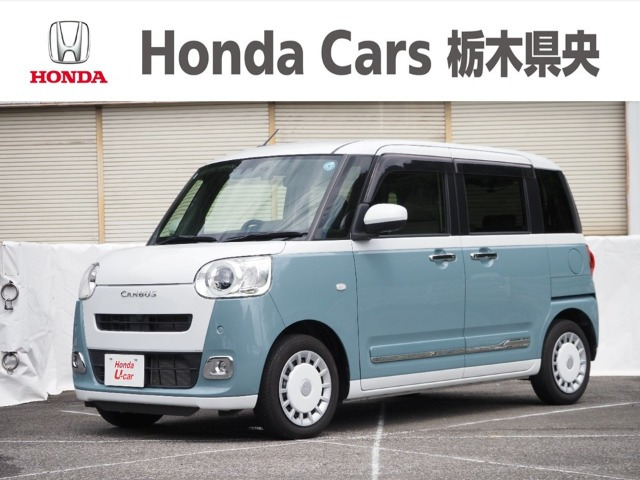 ムーヴキャンバス  ストライプス G