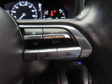 前車追従機能付きのレーダークルーズを備えています。自動で車間距離を調整してくれますので、アクセル操作の疲労軽減に繋がります。特に長距離を帰省される方にはお奨めですよ。