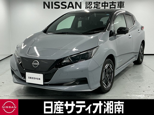 リーフ e+ X