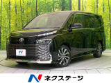 レーダークルーズ 両側電動ドア シートヒーター 電動リアゲート