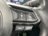 【クルーズコントロール】高速道路もラクラク走行。アクセルを離しても一定速度で走行ができ、長距離運転時の負担を軽減!加速・減速も簡単なスイッチ操作で調整できます。
