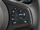 ◆アダプティブクルーズコントロール◆予め設定した車速内でクルマが自動的に加減速。前走車との適切な車間距離を維持しながら追従走行します。【LKAS】車線維持支援システムでステアリング操作を支援。