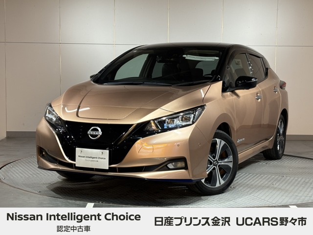 リーフ e+ G