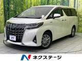 純正10型ナビ 両側電動ドア 後席モニター バックカメラ 100V電源