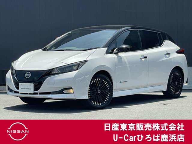 リーフ G