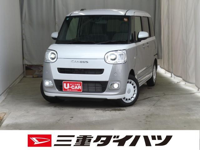 ムーヴキャンバス  ストライプス G