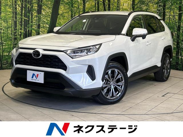 RAV4 2.0 X 